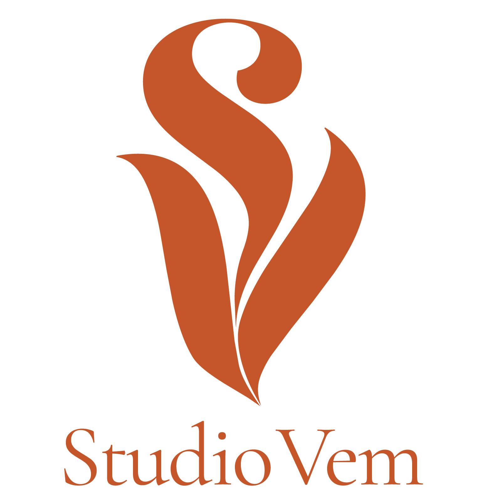 StudioVem logo